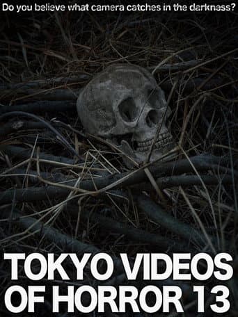 Tokyo Videos of Horror 13 (2015) poster