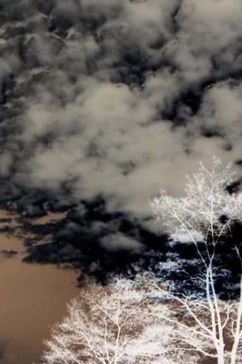Clouds and Trees (2020) poster
