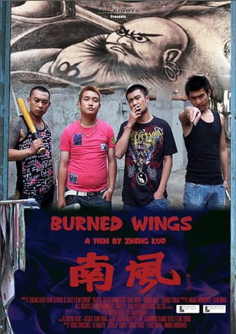 Burned Wings (2012) poster