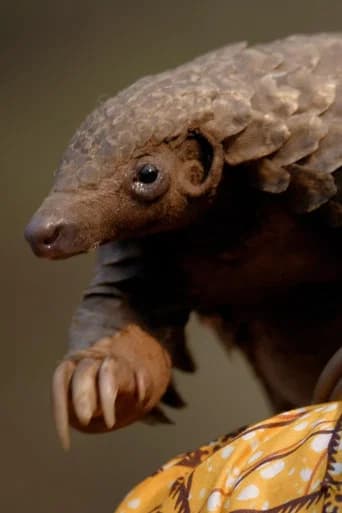 Wild Hope: Pangolin Protectors (2025) poster