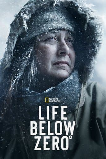 Life Below Zero (2013) poster
