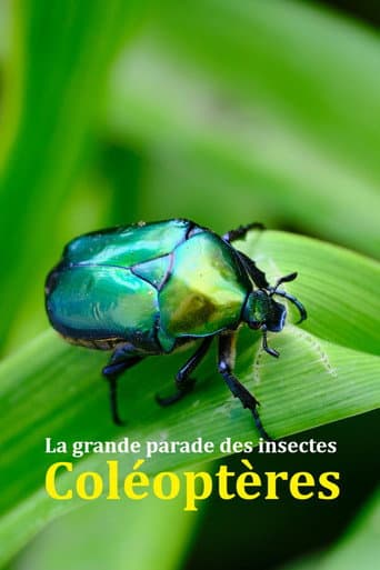 Fabulous Insects - Beetles (2024) poster