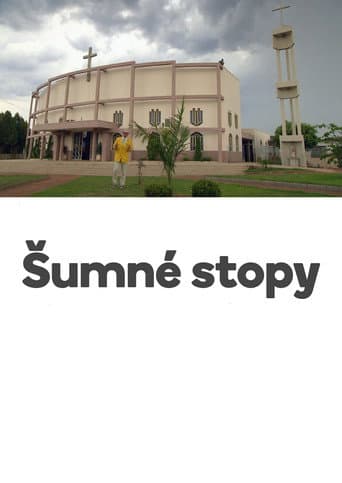 Šumné stopy (2011) poster