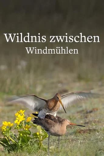 Wildlife in Windmill Country (2025) poster