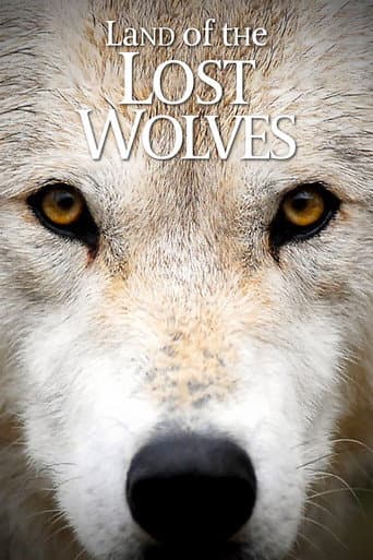 Land of the Lost Wolves (2012) poster