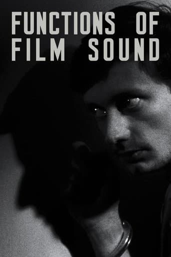 Functions of Film Sound (2013) poster