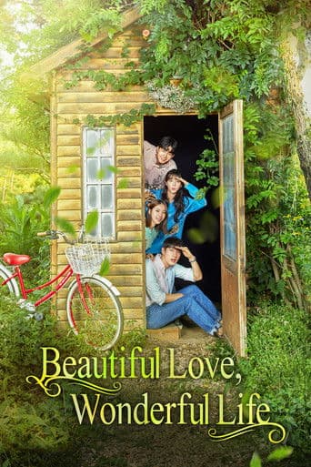 Beautiful Love, Wonderful Life (2019) poster