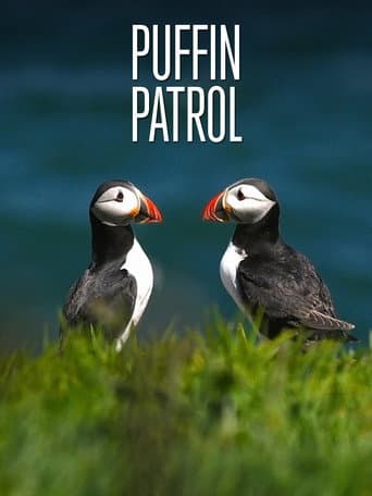 Puffin Patrol (2015) poster