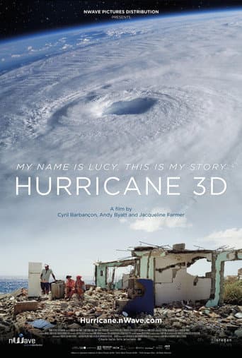 Hurricane, a wind odyssey (2016) poster