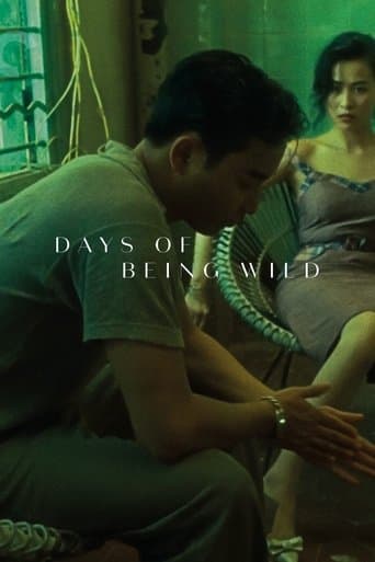 Days of Being Wild (1990) poster