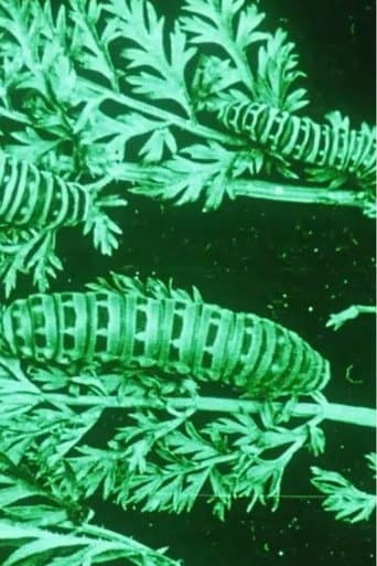 Water, Klimaat en Film (1911) poster