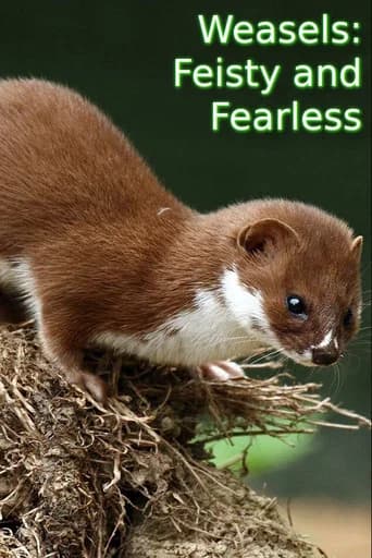 Weasels: Feisty and Fearless (2019) poster