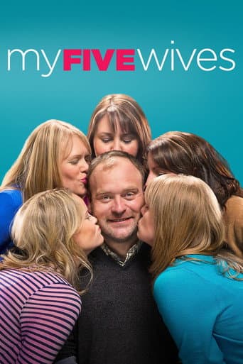 My Five Wives (2013) poster