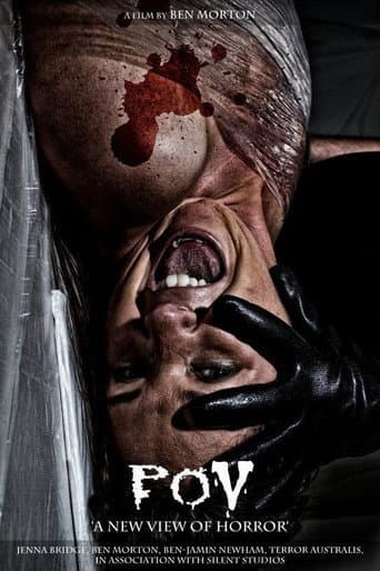P.O.V: Point of View (2013) poster