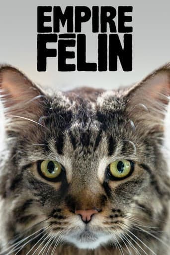 Cat Empire (2019) poster