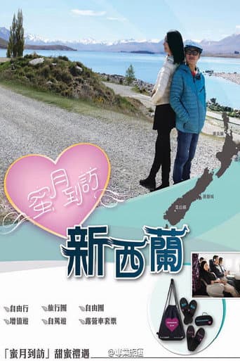 蜜月到訪 (2015) poster