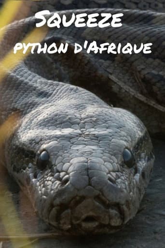 Squeeze: African Python (2017) poster