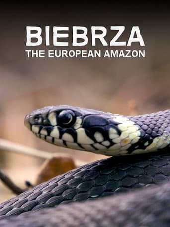 Biebrza: The European Amazon (2016) poster