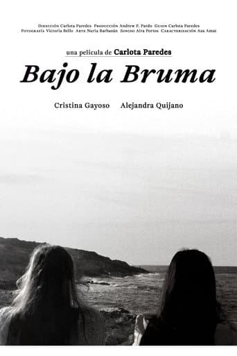 Bajo la bruma poster