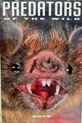 Predators of the Wild: Bats (1991) poster