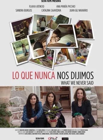 What We Never Said (2015) poster