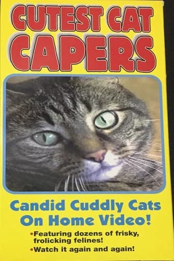 Cutest Cat Capers (1995) poster