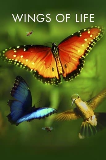 Wings of Life (2011) poster