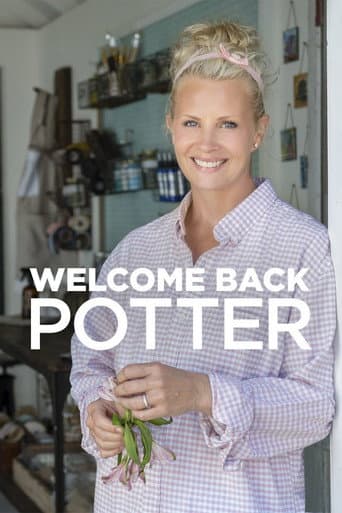 Welcome Back Potter (2016) poster