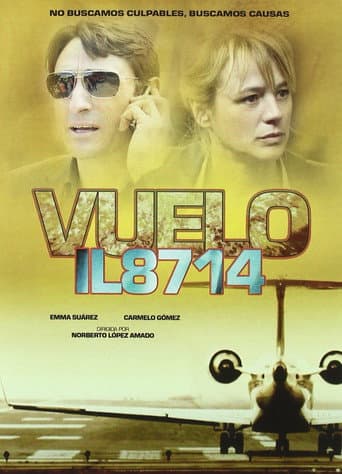 Flight 8714: Take Off to Disaster (2010) poster