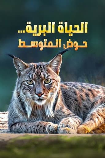 Wild Mediterranean (2024) poster