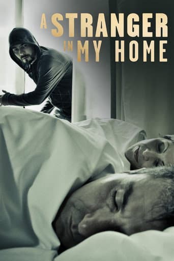 A Stranger in My Home (2013) poster