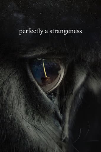 perfectly a strangeness (2024) poster