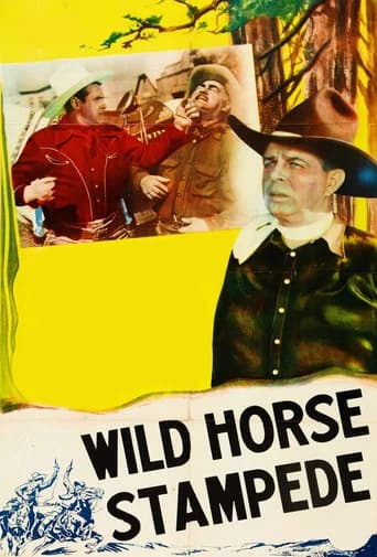 Wild Horse Stampede (1943) poster