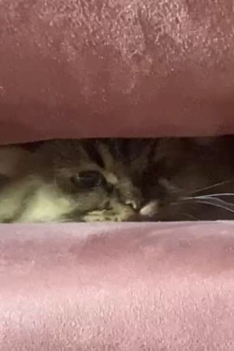 A Cat's Ascend To Claustrophobic Tranquility (2022) poster