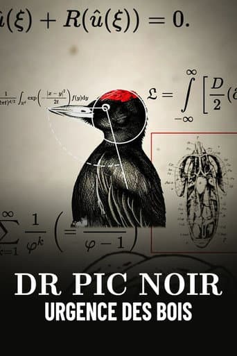 Dr Pic Noir, urgence des bois (2023) poster