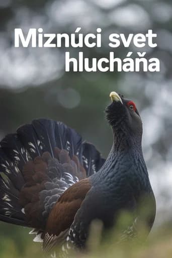 Disappearing World of the Capercaillie (2023) poster