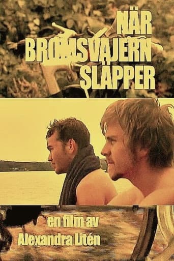 No Brakes (2008) poster