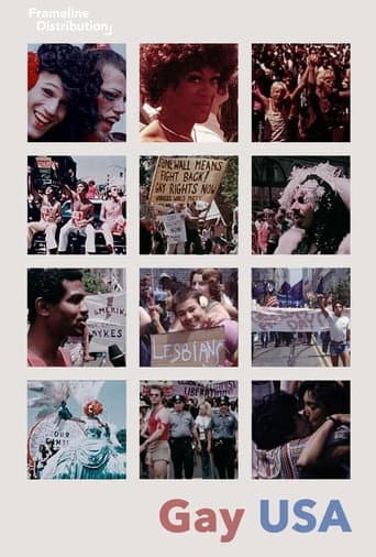 Gay USA (1977) poster