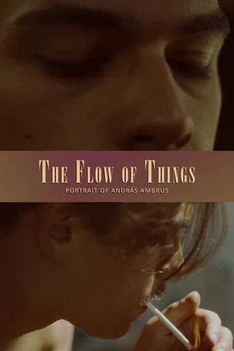 The Flow of Things (2025) poster