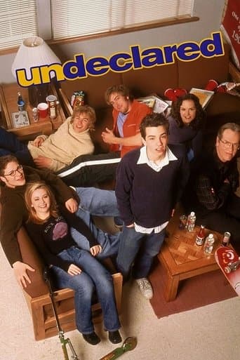 Undeclared (2001) poster