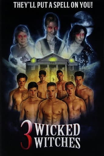 3 Wicked Witches (2014) poster