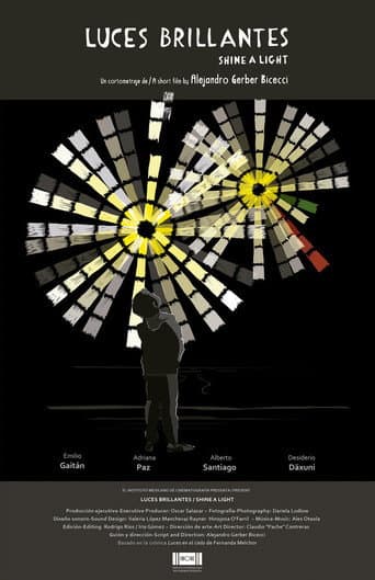 Shine a Light (2016) poster
