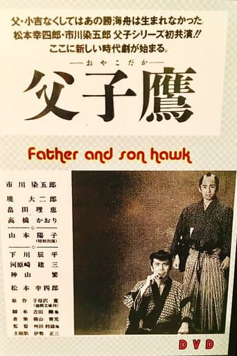 Father and Son Hawk (1994) poster