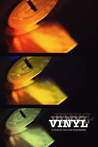 Vinyl (2024) poster