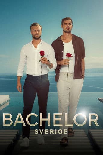Bachelor Sweden (2015) poster
