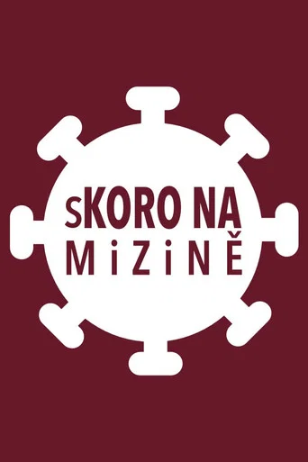 sKORO NA mizině (2020) poster