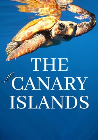 The Canary Islands (2023) poster