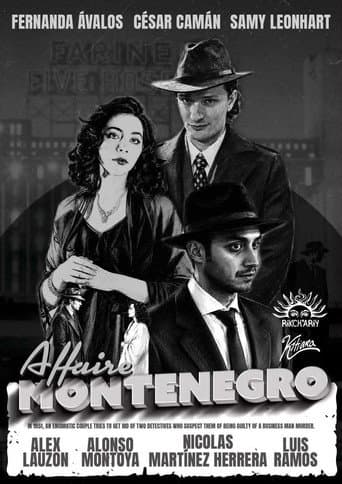 The Montenegro Affair (2026) poster