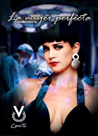La mujer perfecta (2010) poster