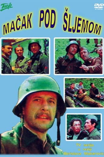 Cat Under a Helmet (1978) poster